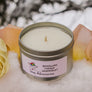 Stay Adventurous - Brazilian Mango Candle