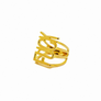 F*@K RING