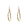 Large Hoop Earrings