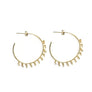 Crystal Dangle Hoop Earrings