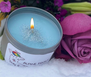 Stay Curious - Alpine Frost Candle