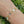 Crystal Bridges Cushion Cut Bracelet